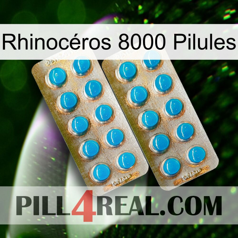 Rhinocéros 8000 Pilules new08
